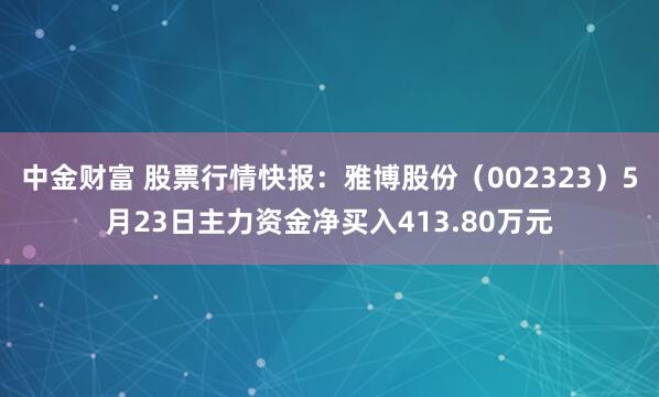 中金财富 股票行情快报：雅博股份（002323）5月23日主力资金净买入413.80万元