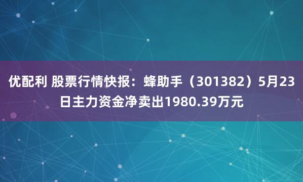 优配利 股票行情快报：蜂助手（301382）5月23日主力资金净卖出1980.39万元