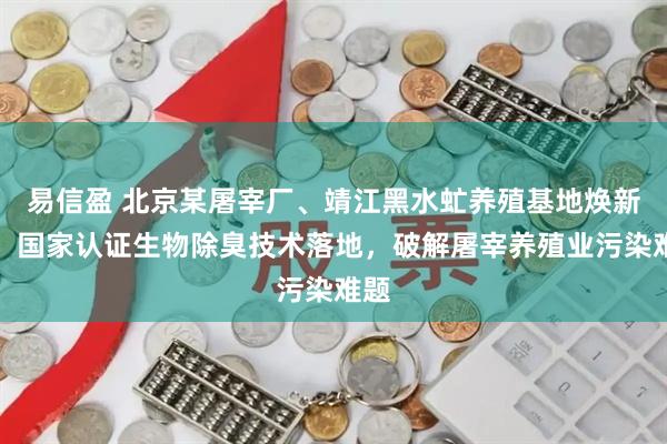 易信盈 北京某屠宰厂、靖江黑水虻养殖基地焕新记：国家认证生物除臭技术落地，破解屠宰养殖业污染难题