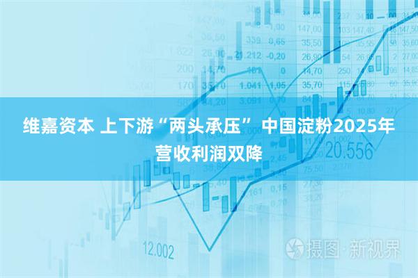维嘉资本 上下游“两头承压” 中国淀粉2025年营收利润双降